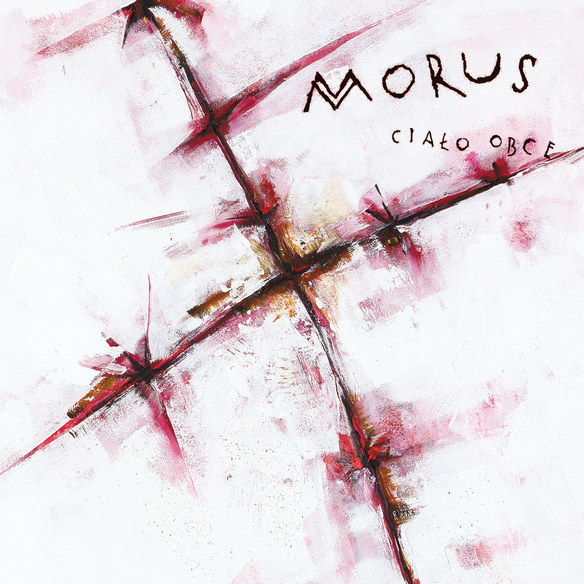 MORUS