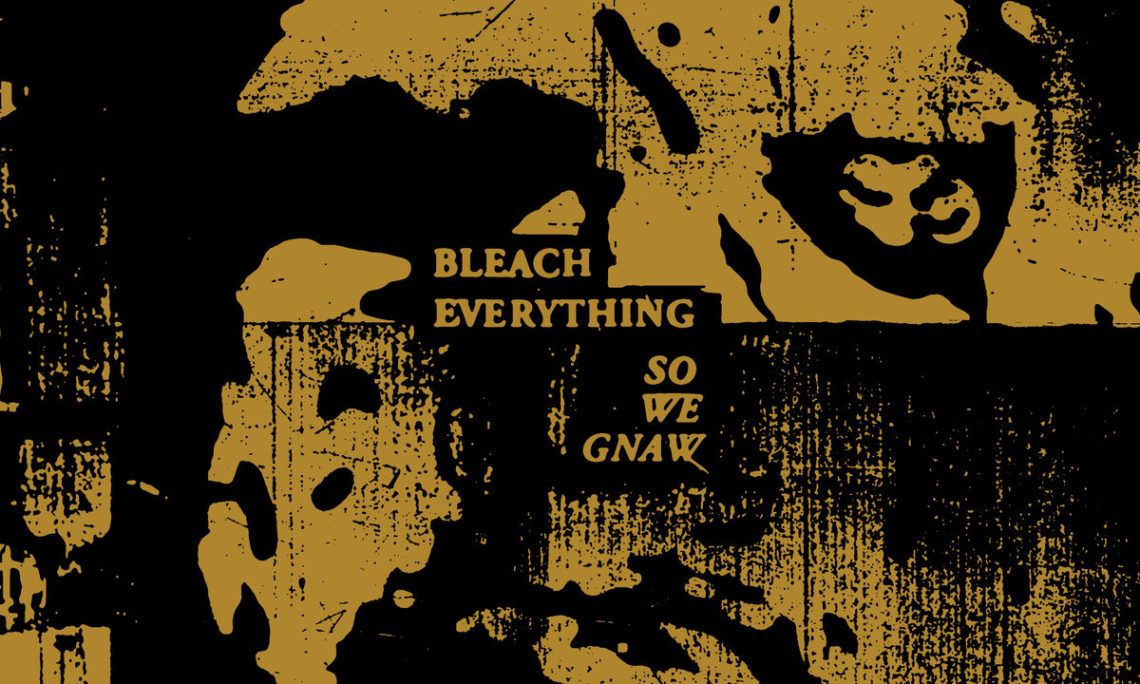 Bleach Everything